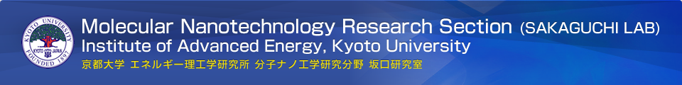 京都大学 エネルギー理工学研究室 分子ナノ工学研究分野 坂口研究室